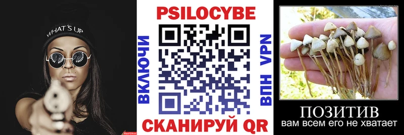 гидра ТОР Калачинск Псилоцибиновые грибы ЛСД